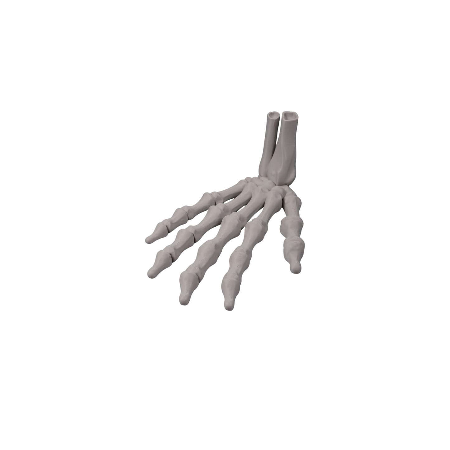Ornament | Flexi Skeleton Hand